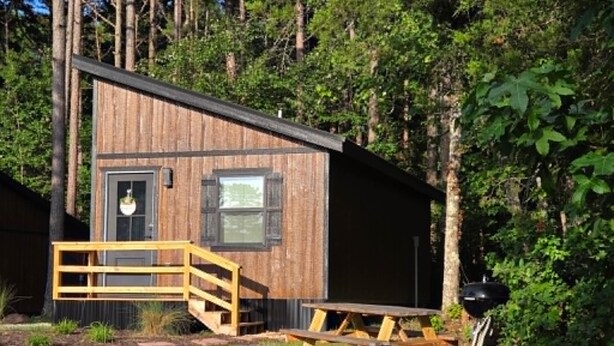 A wooden cabin with a porch, a grill, and a picnic table. - Hummingbird is a Cozy & Quaint 1 bedroom Cabin bordering Ozark National Forest (Dover)