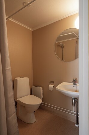 Une salle de bain équipée de toilettes, d’un radiateur, d’un lavabo et d’un miroir.