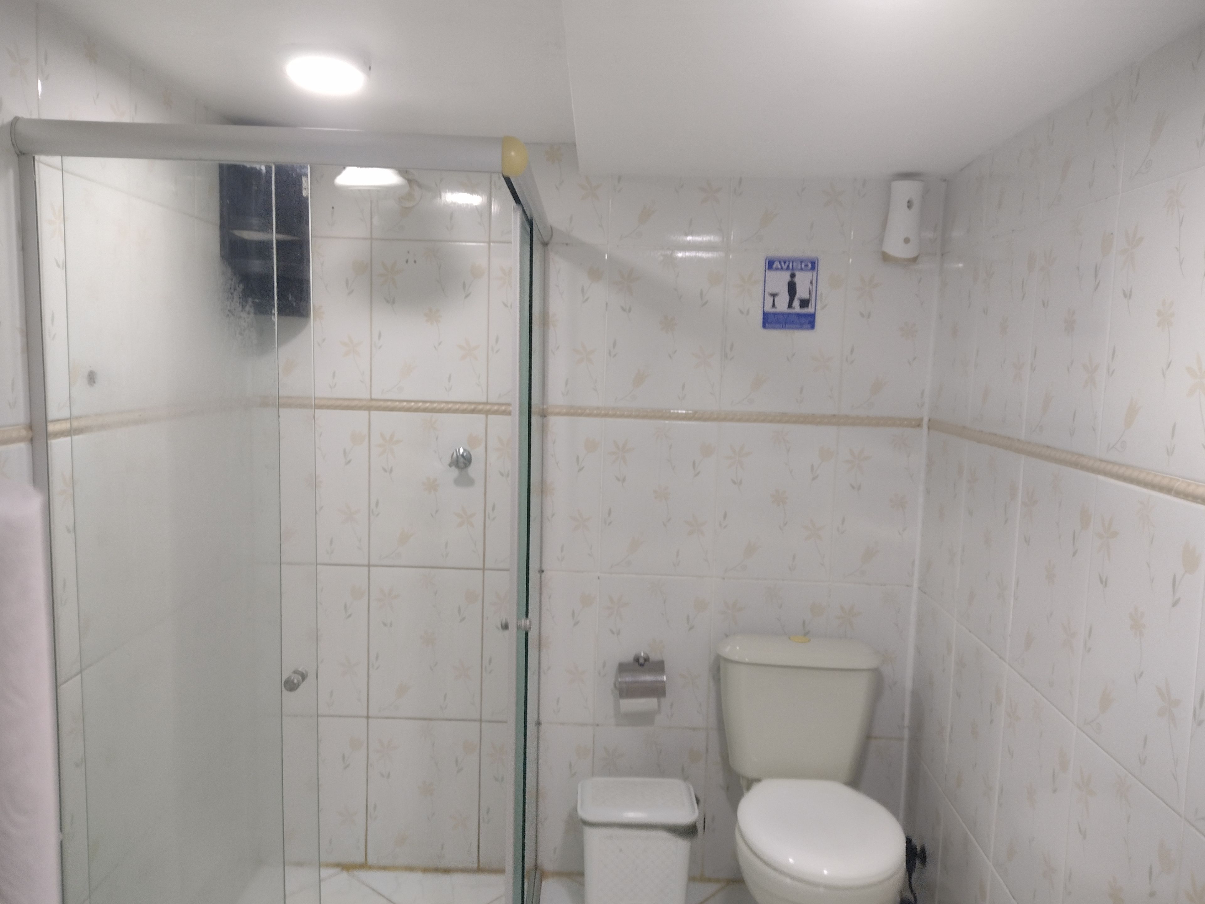 A bathroom with a glass-enclosed shower, a toilet, and a wall-mounted toilet paper holder.