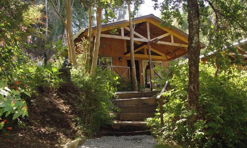 A wooden cabin with a staircase leading to a covered entrance, surrounded by dense greenery.