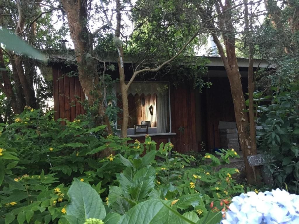Un chalet en bois rustique, doté d’un porche et entouré d’une végétation luxuriante et de plantes en fleurs.