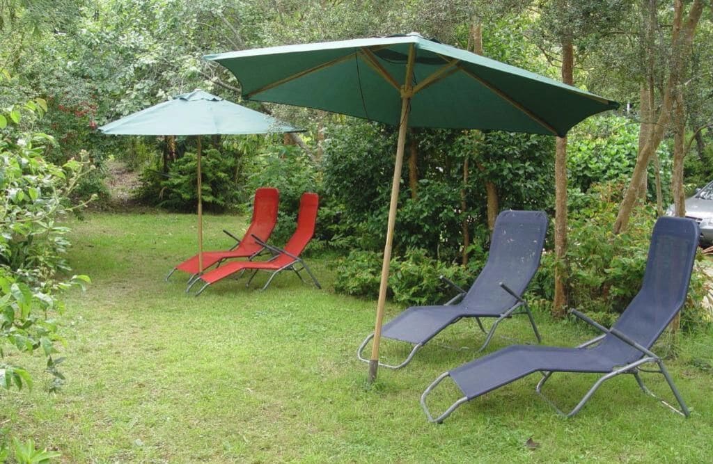 A garden with two lounge chairs under a green umbrella, surrounded by greenery.