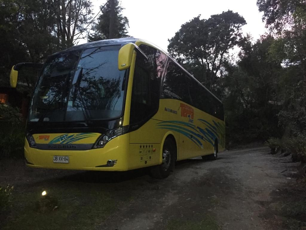 A yellow bus parked on a dirt path surrounded by trees.