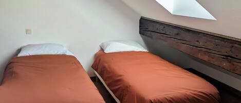 A room with two beds, a skylight, wooden flooring, and a sloped ceiling.
