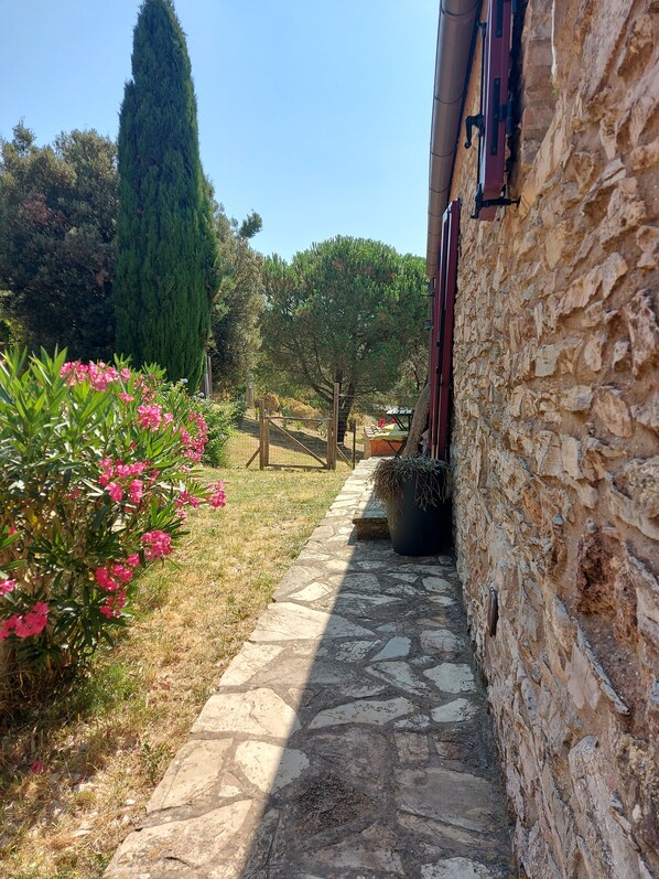 A stone pathway leading to a rustic building with a wooden fence and a tall tree in the background. - FARMHOUSE WITH OCEAN VIEW (Toscana)