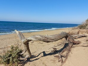 Uma praia com um grande tronco de árvore caído em primeiro plano e o oceano ao fundo.