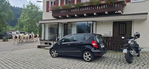 Un coche negro estacionado frente a un edificio con balcón, una motocicleta y una manada de vacas en la calle.