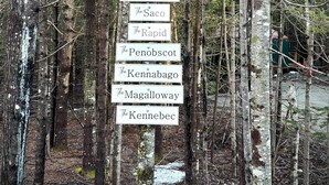 Un cartel direccional en un área boscosa con varias flechas indicando distintos destinos.