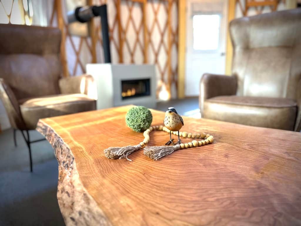 Une table en bois sur laquelle se trouvent un oiseau et un objet vert.