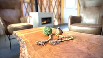 Une table en bois sur laquelle se trouvent un oiseau et un objet vert.