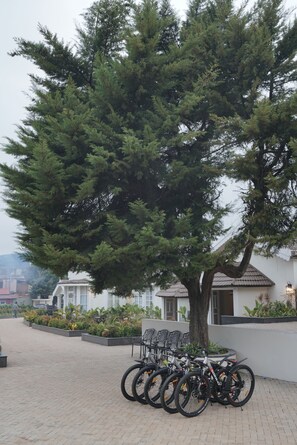 A tree-lined courtyard with bicycles parked under a large tree. - Grand Windsor Resort (Ooty)