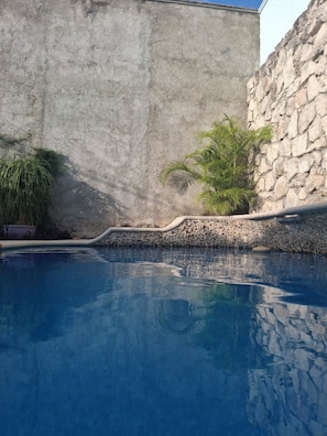 Ein Swimmingpool mit einer Steinmauer und einer kleinen Pflanze.
