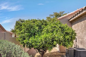 A well-maintained garden with a variety of shrubs and a tree in front of a building with a tiled roof. - AZ Oasis  Heated Pool  Jacuzzi (Goodyear)