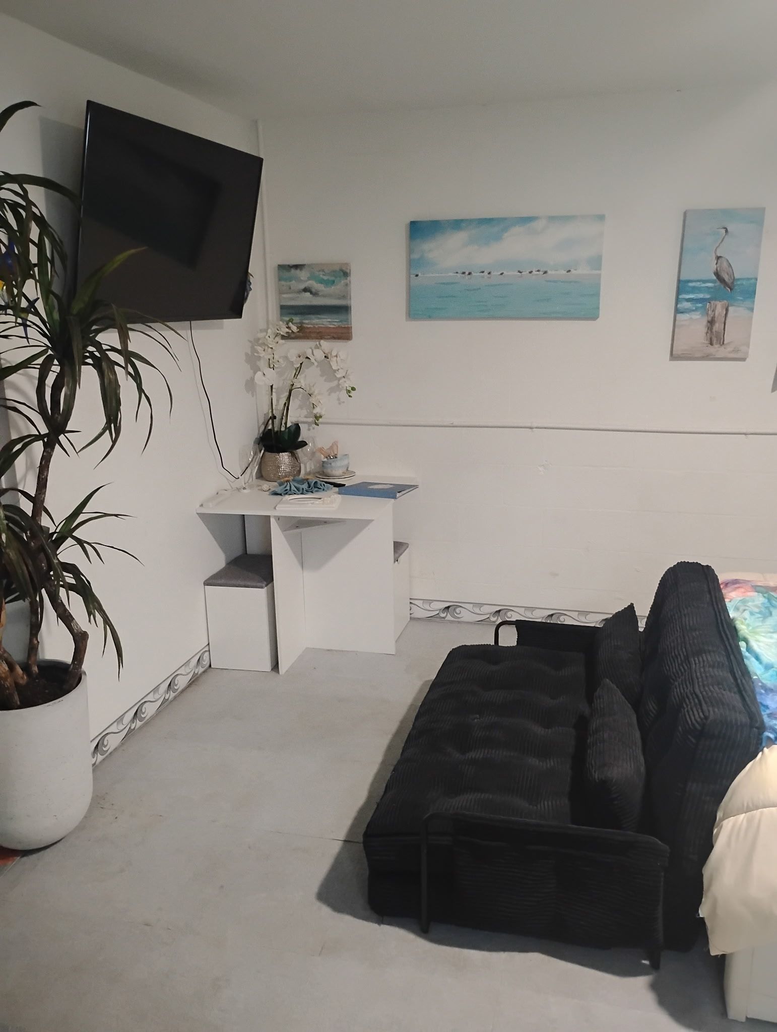 Een kamer met een wit bureau, een zwarte bank, een aan de muur bevestigde televisie en een potplant.