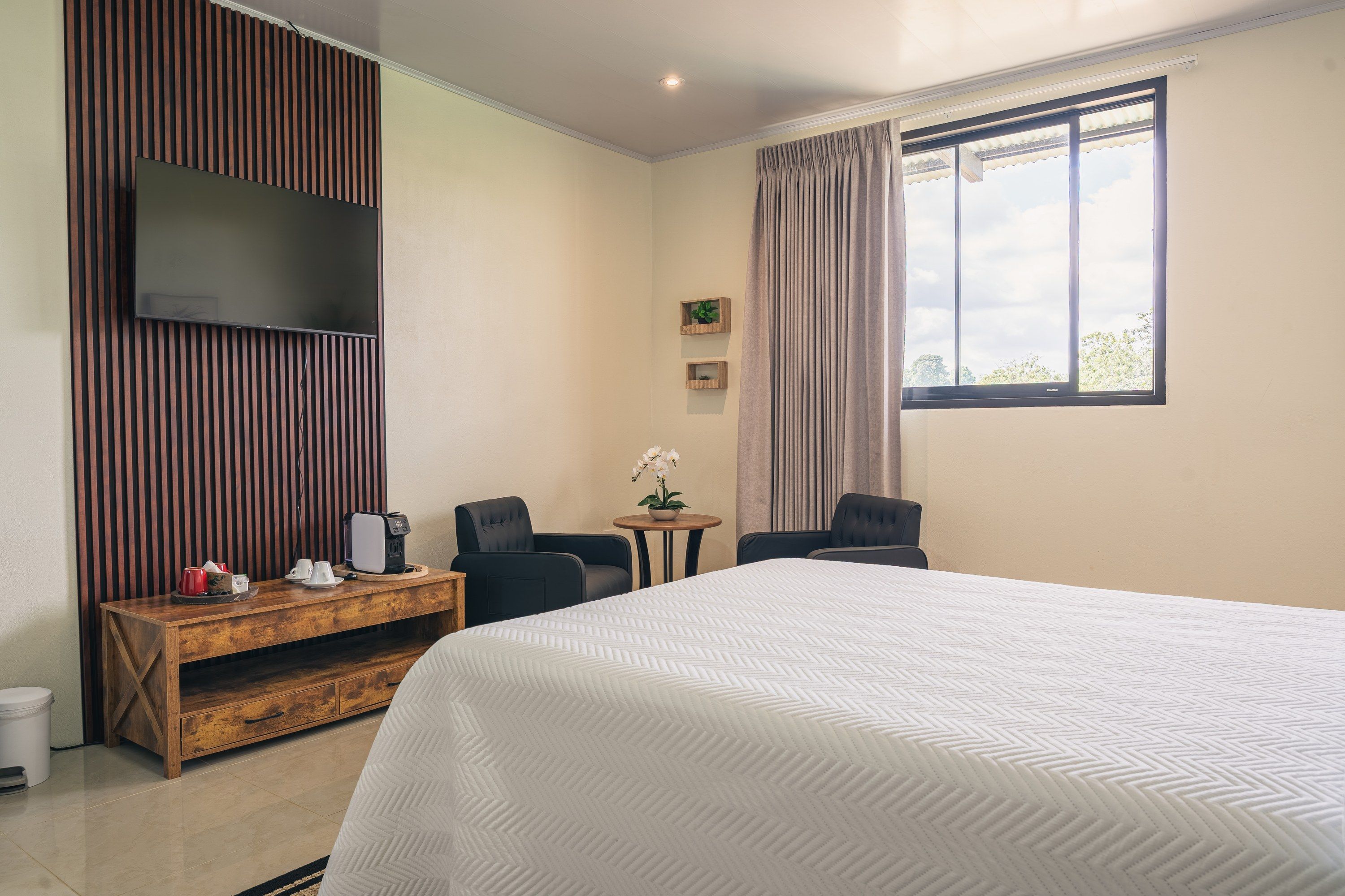 Habitación de hotel con una cama grande, un televisor montado en un panel de madera, una mesita con una planta, dos sillas y una ventana con cortinas.