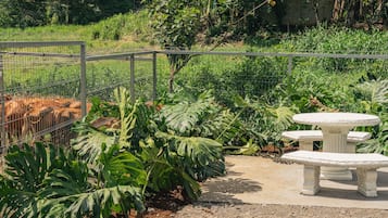 Un jardín con cerca de metal, un banco de piedra blanca y plantas tropicales.