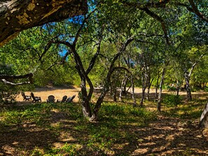 An outdoor seating area with chairs and tables under trees. - Beautiful Home in Quiet Gated Community Near Hendry's Beach-3Bedrooms 2.5 Baths (Santa Barbara)
