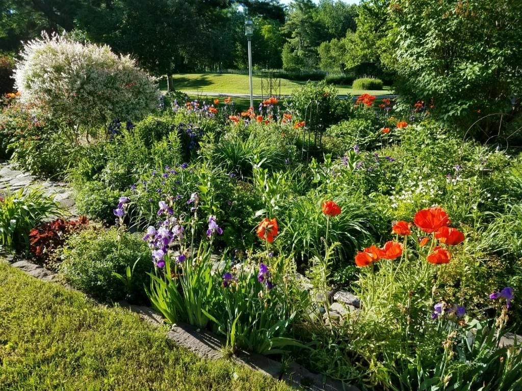 Un jardin avec différentes plantes et fleurs, un sentier et une pelouse en arrière-plan.