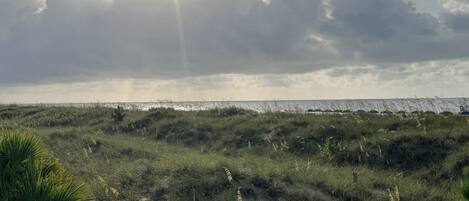A coastal landscape with the sun shining through clouds, foreground vegetation, and a distant shoreline.