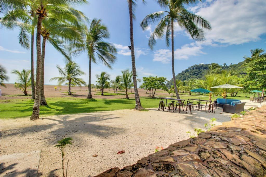A tropical resort setting with palm trees, a grassy area, and outdoor seating.