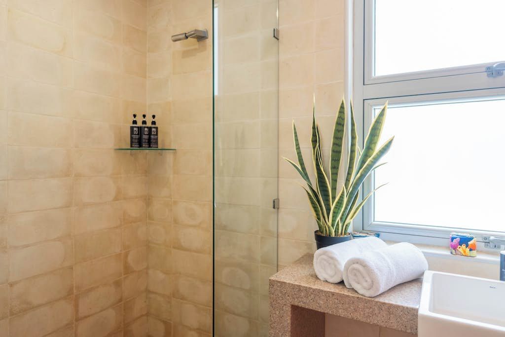 Une salle de bain avec une douche à parois de verre, une plante en pot et un plan de travail sur lequel sont posées des serviettes.