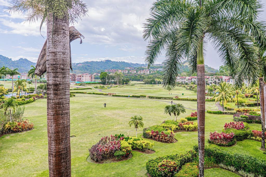 A landscaped garden with palm trees and manicured lawns.