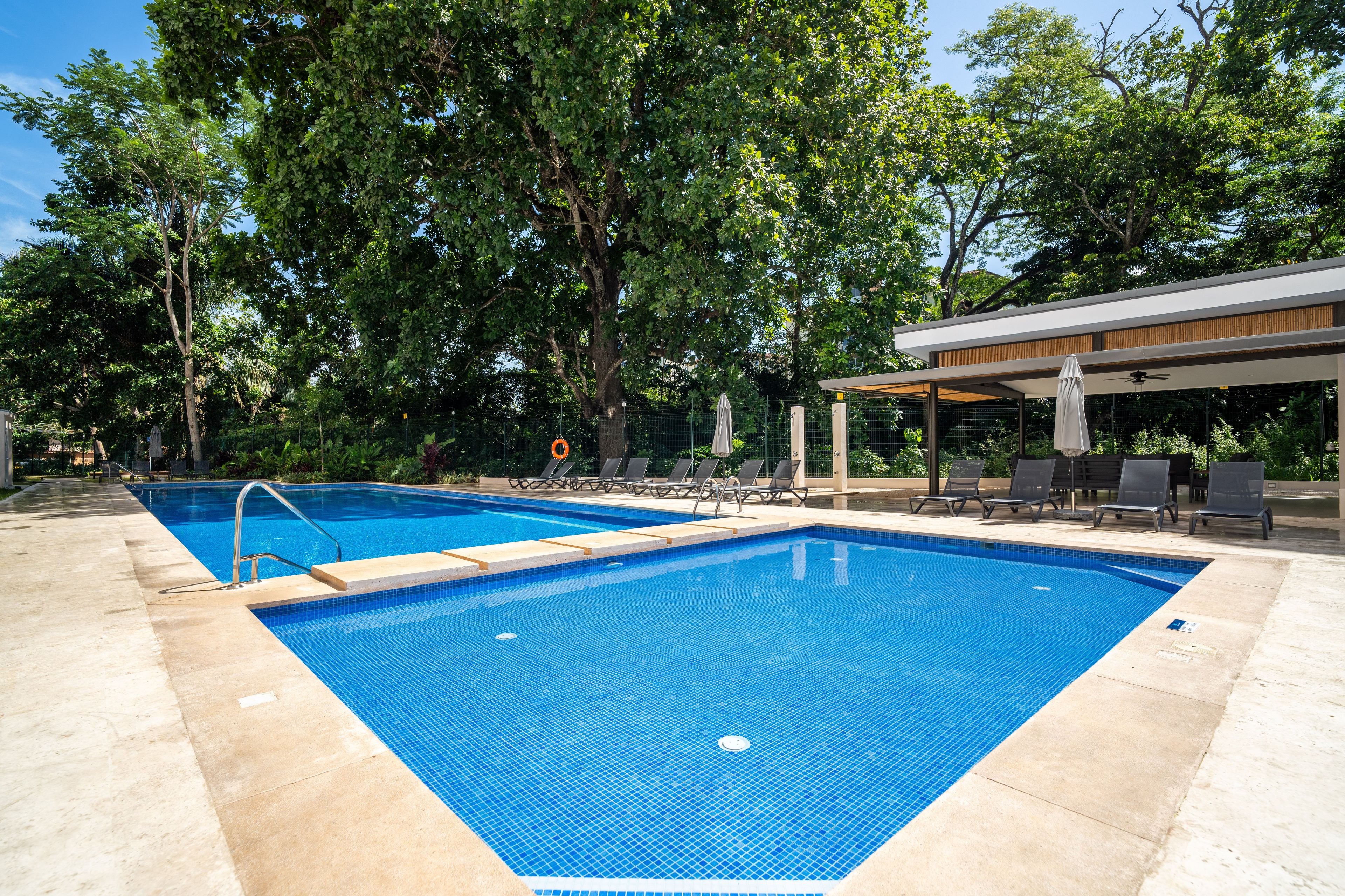 Una piscina rectangular amb vora de rajola, envoltada de gandules i una zona de seients coberta.