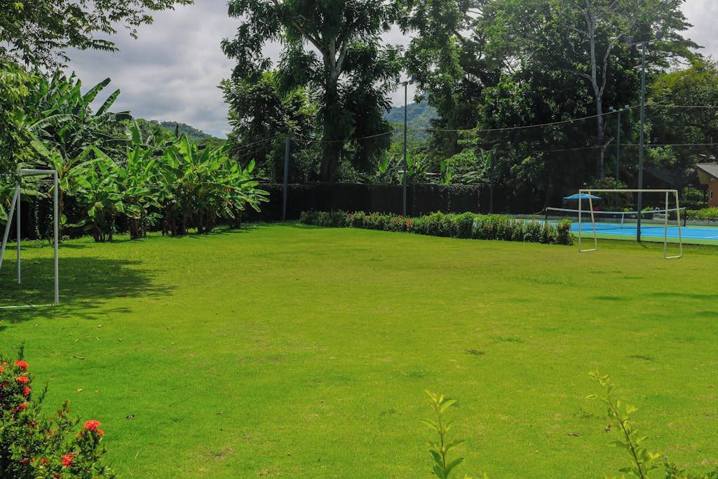 A well-maintained grassy area with a volleyball net and a soccer goal, surrounded by lush greenery and trees.