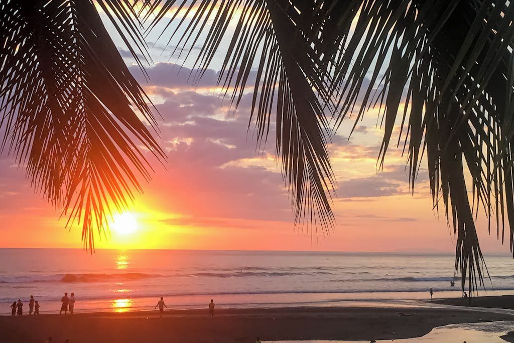 Un atardecer sobre el océano, con palmeras enmarcando la vista.