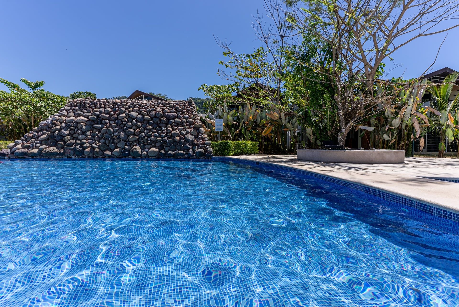 A clear blue pool with a stone wall and tropical plants.