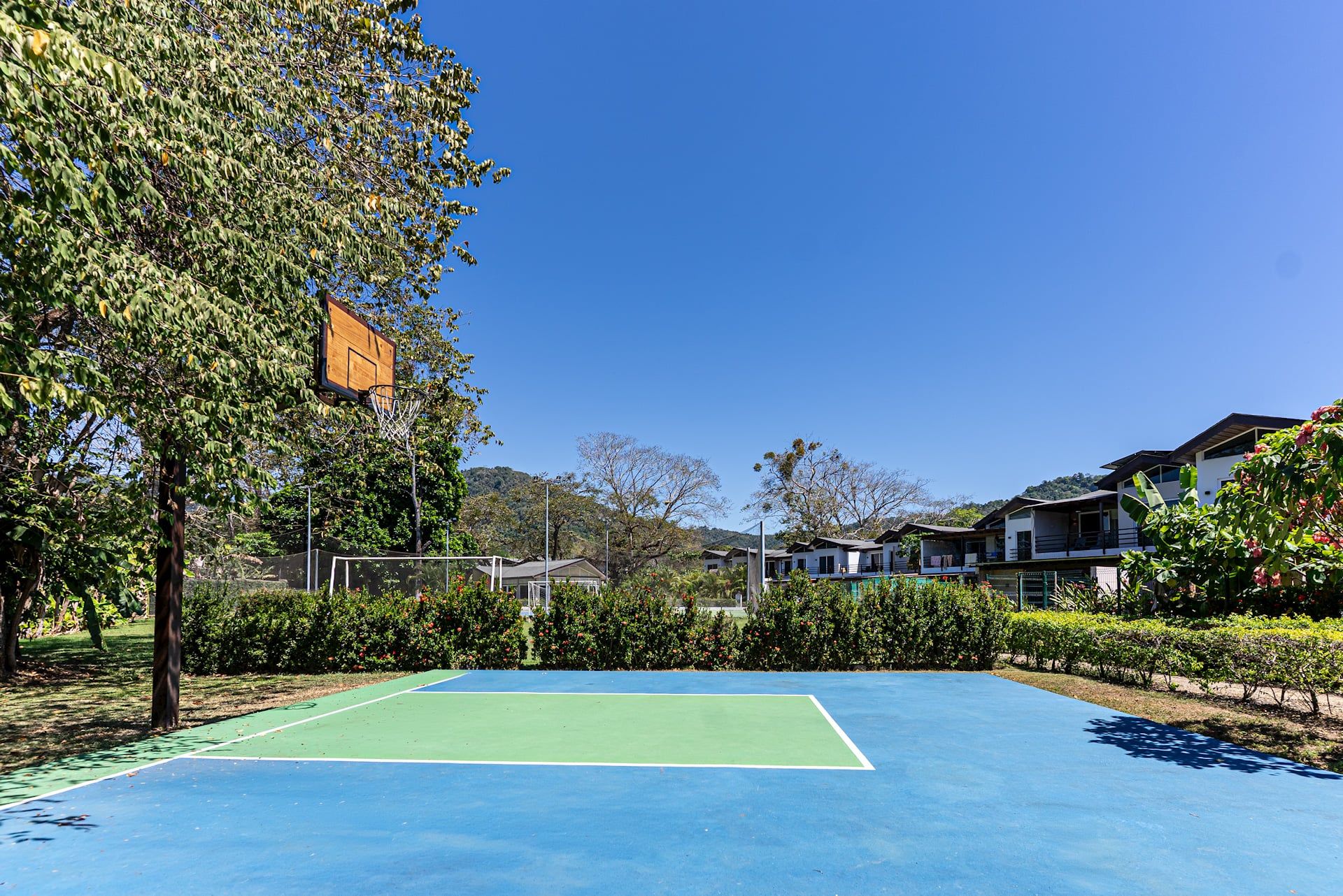Ein Tennisplatz mit Basketballkorb, umgeben von Grünflächen und Wohngebäuden.