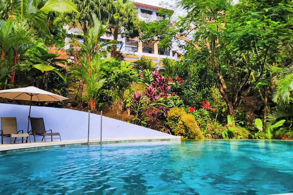 A swimming pool with lounge chairs and a shaded area, surrounded by lush tropical vegetation and a building in the background.