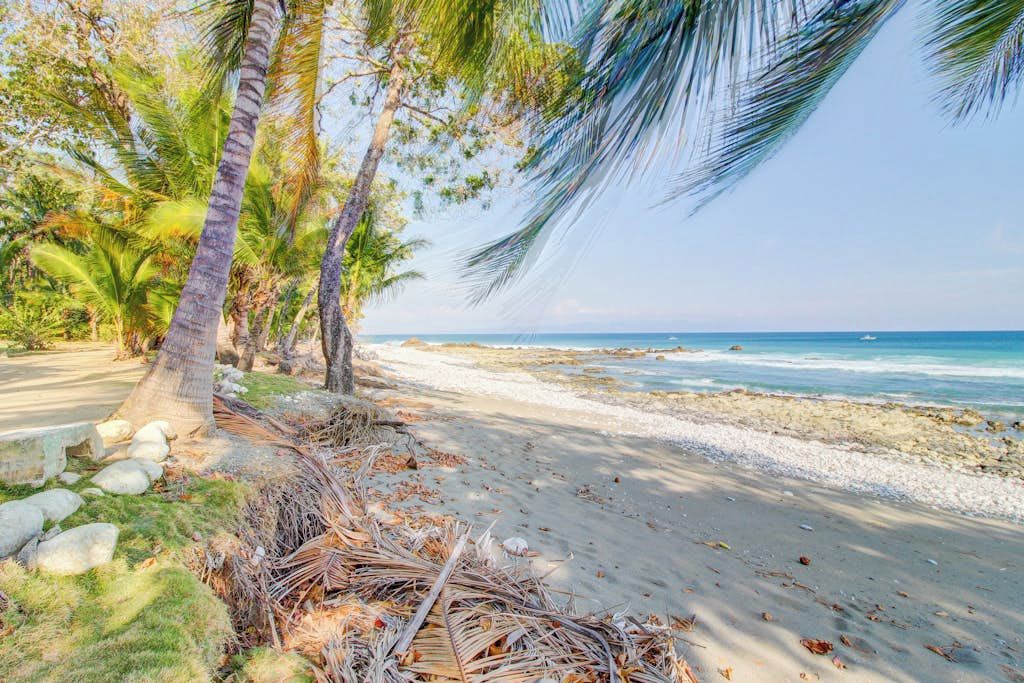 A beach with palm trees, a sandy path, and the ocean in the background.