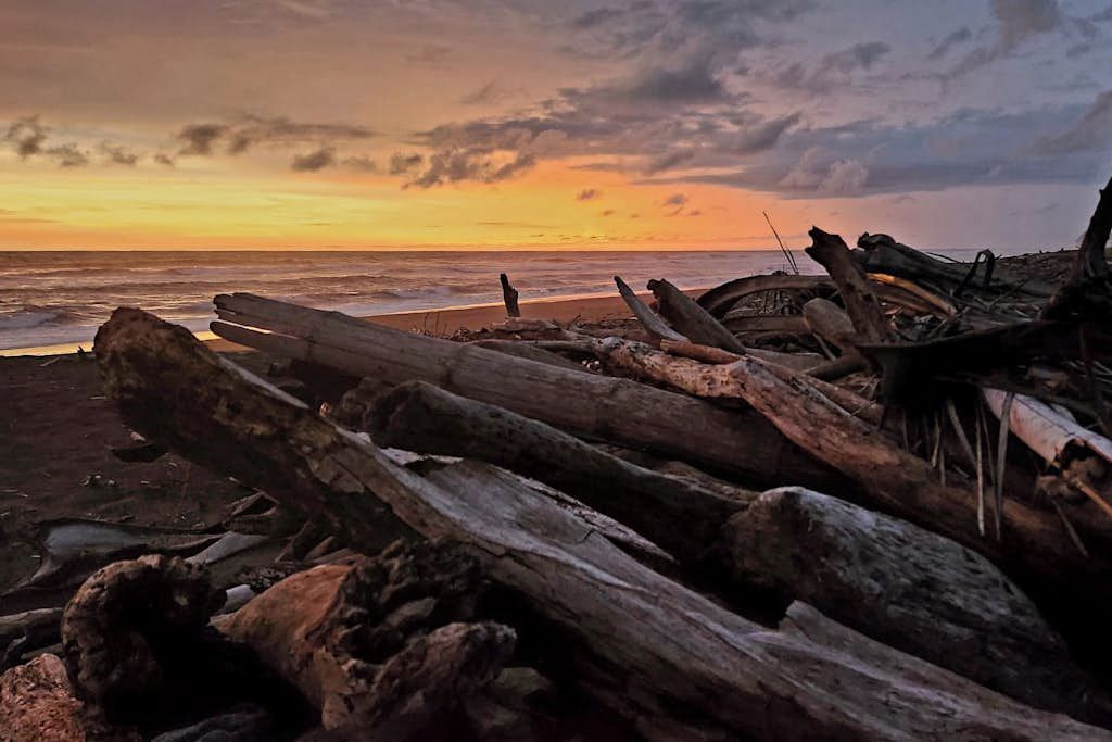 A beach with driftwood and rocks.