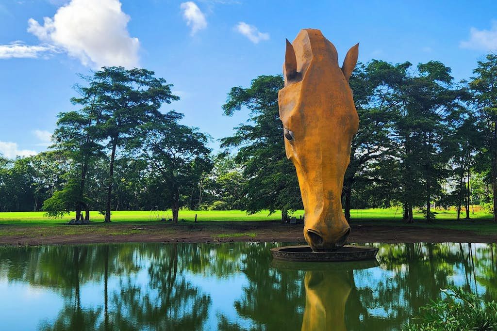 Una gran escultura de cabeza de caballo en un parque, con un estanque al frente y árboles en el fondo.
