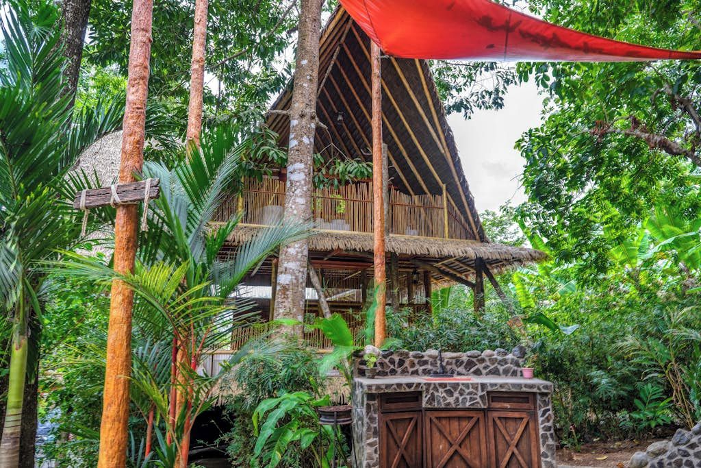 Une structure en bois, surmontée d’un toit de chaume, entourée d’une végétation luxuriante.