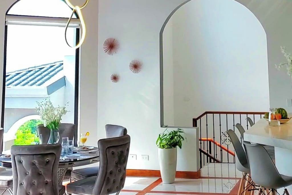 A dining area with a table, chairs, and a potted plant.