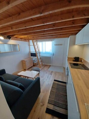 A compact living space with a lofted kitchen, a sofa, a small table, and a ladder leading to a window. - Renovated studio at the base of the slopes, covered parking (Saint-Étienne-de-Tinée)