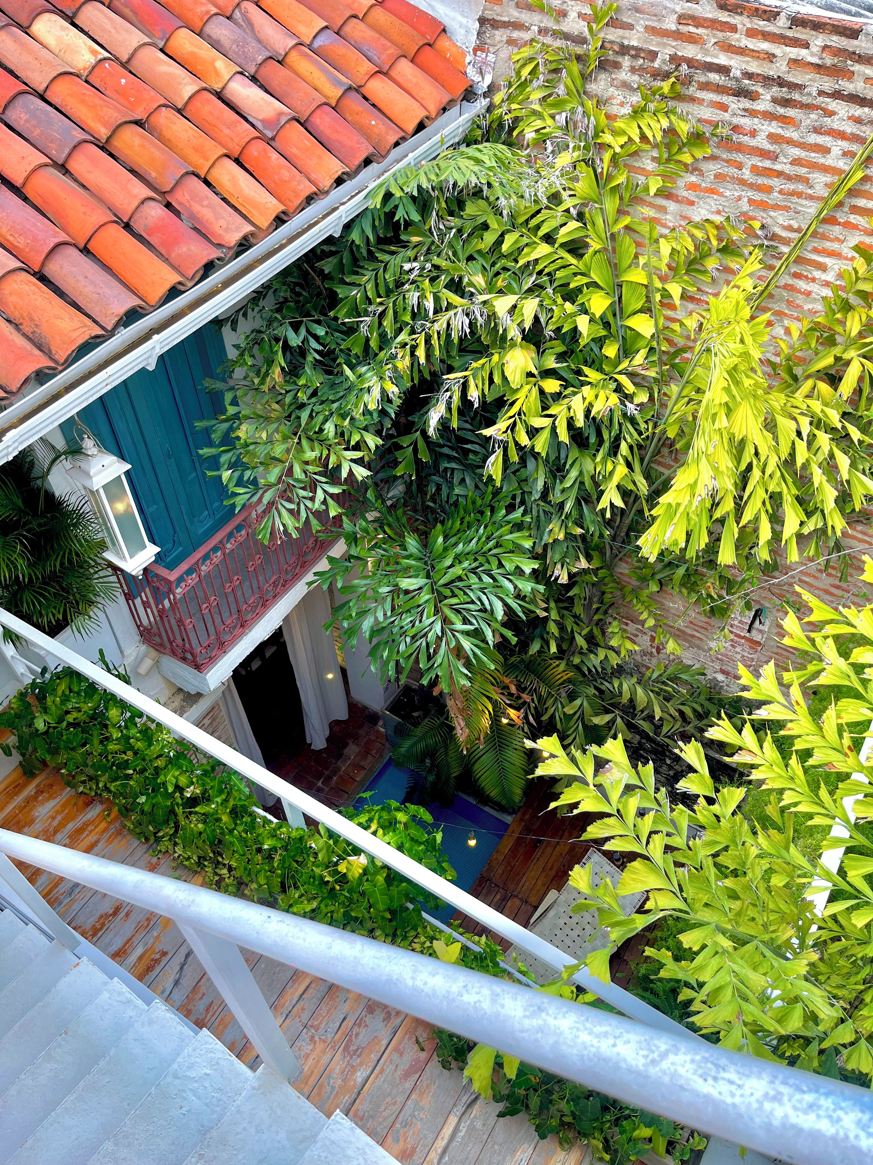 A residential area with a red-tiled roof, a brick wall, and lush green foliage.
