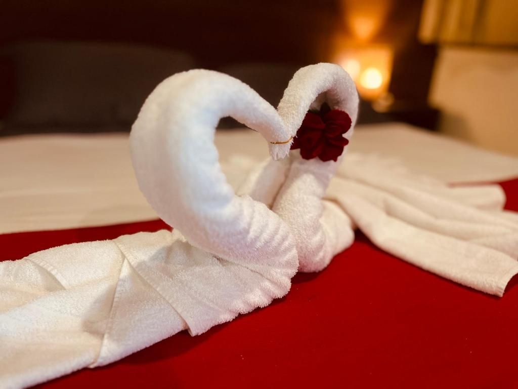 Una toalla con forma de cisne y una rosa roja sobre una superficie roja.