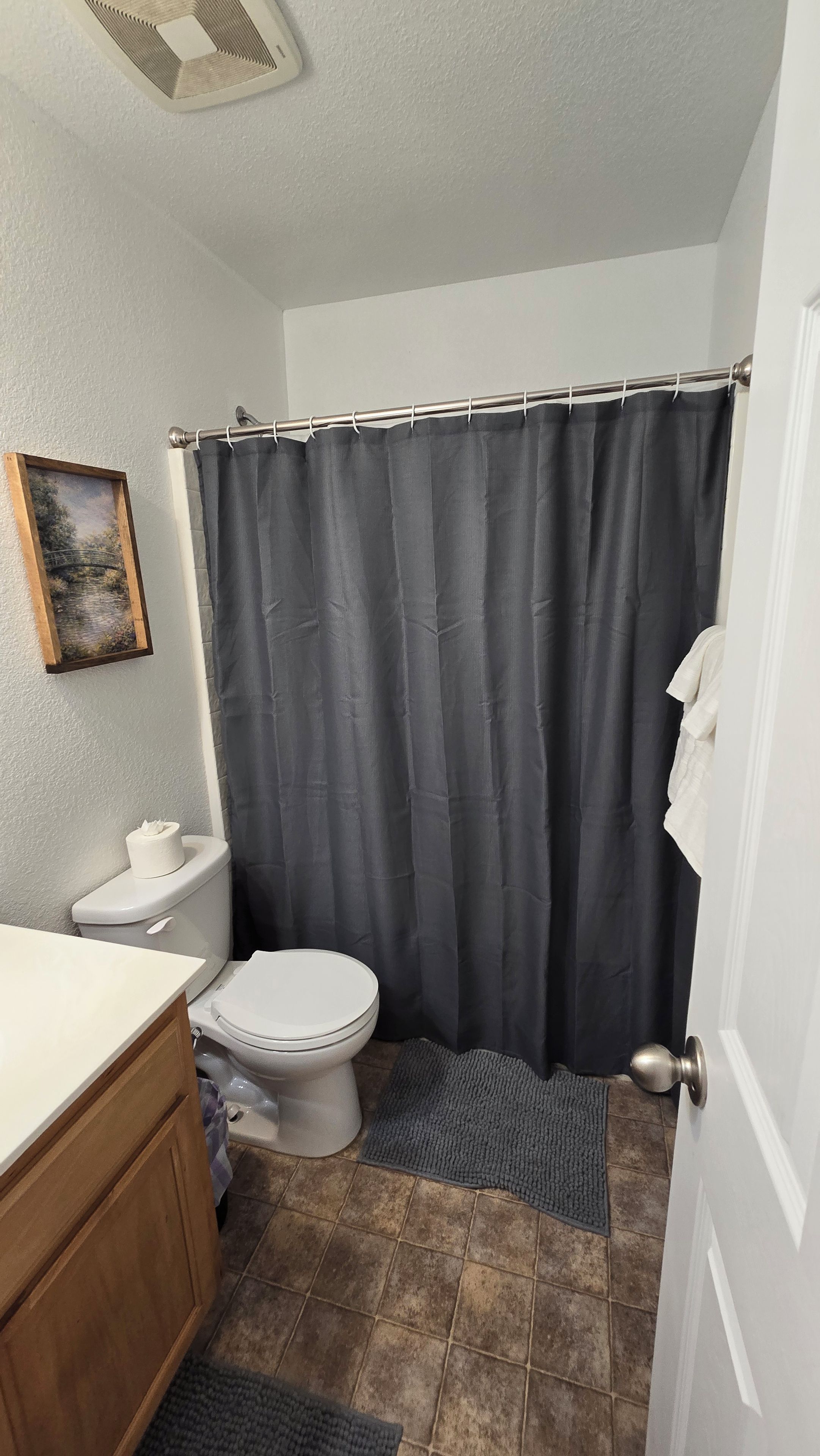 A bathroom with a toilet, a sink, a shower curtain, and a door.