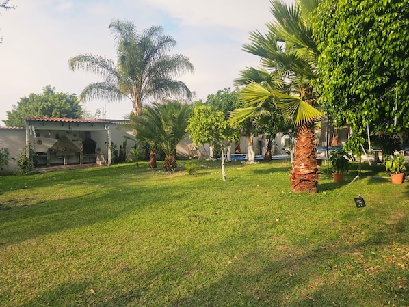A well-maintained grassy area with palm trees, a building with a tiled roof, and potted plants. - Finca La Vega Tonatico | Large Private Estate with Pool, Sleeps 19 People (La Vega)