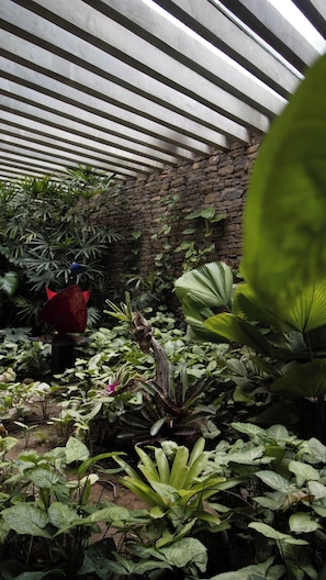 A greenhouse with a stone wall and metal roof, filled with various green plants. - GoUppers® Lujo en Pampatar Margarita Real (Pampatar)