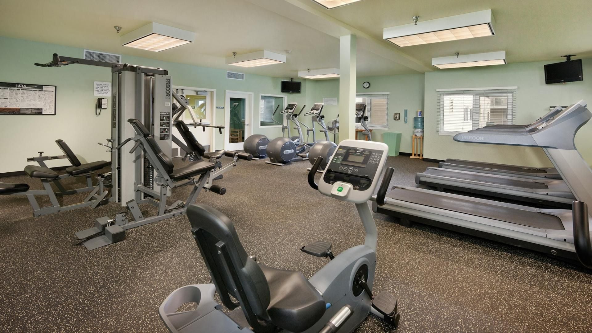 A gym with cardio machines, weight stations, and exercise balls.