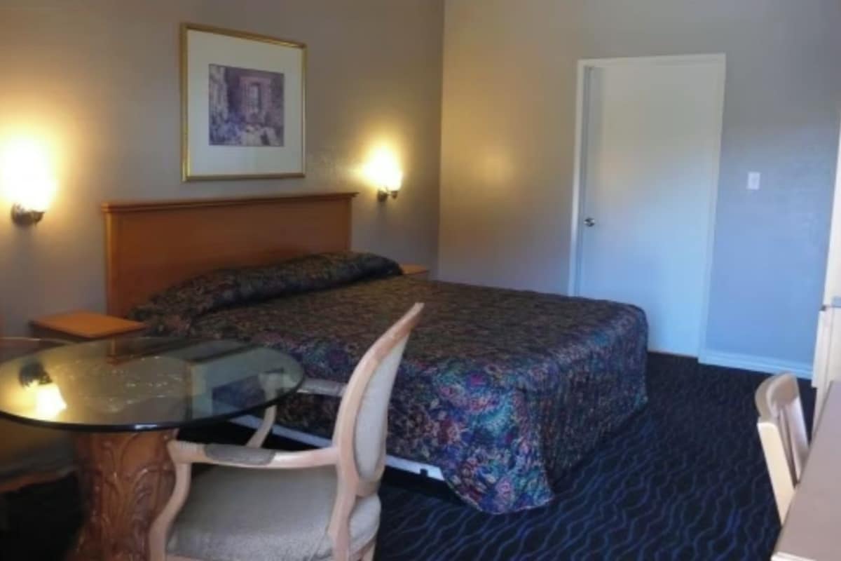 Single Room, 1 King Bed