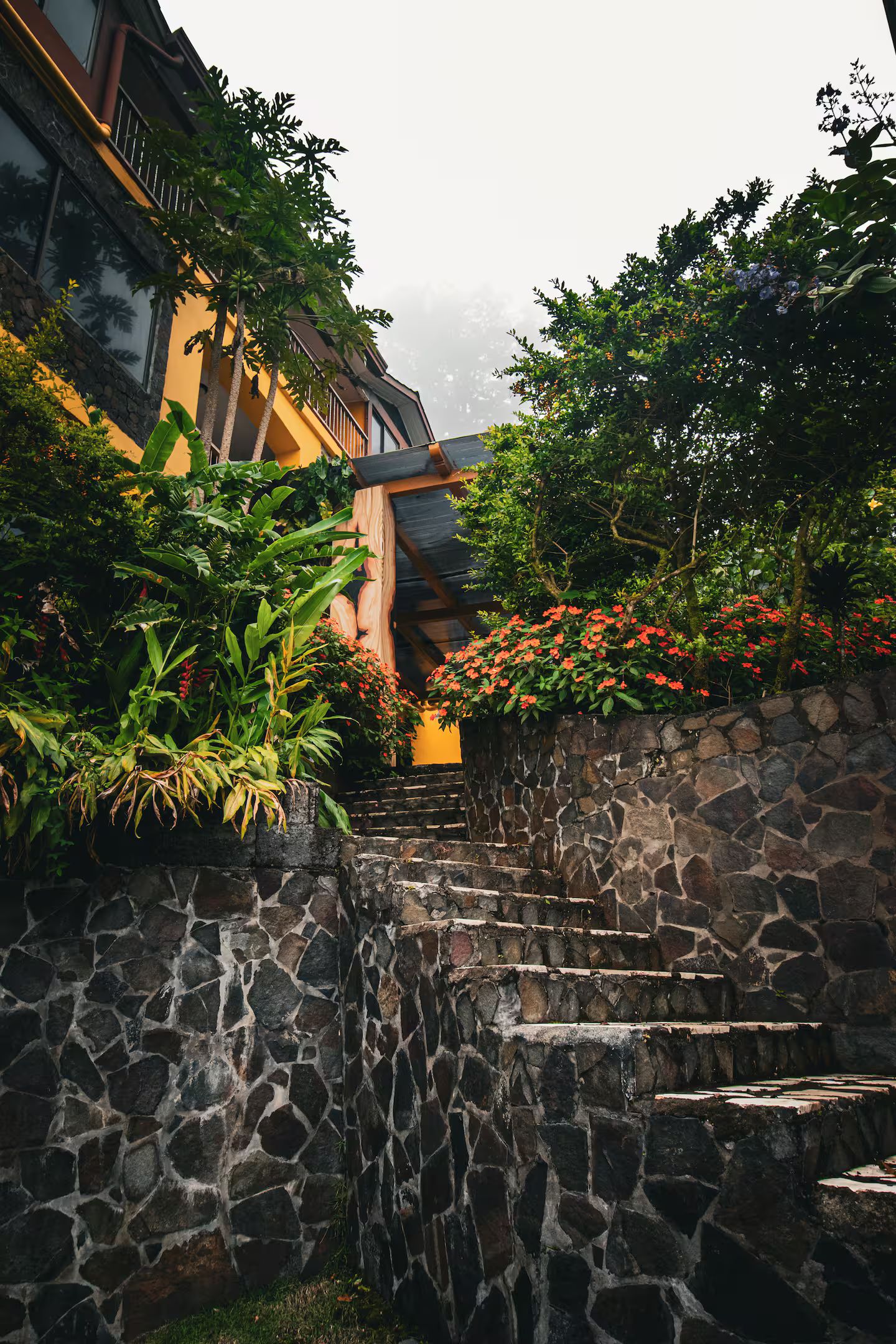 A stone staircase leading to a building with a yellow facade, surrounded by lush greenery and flowering plants.