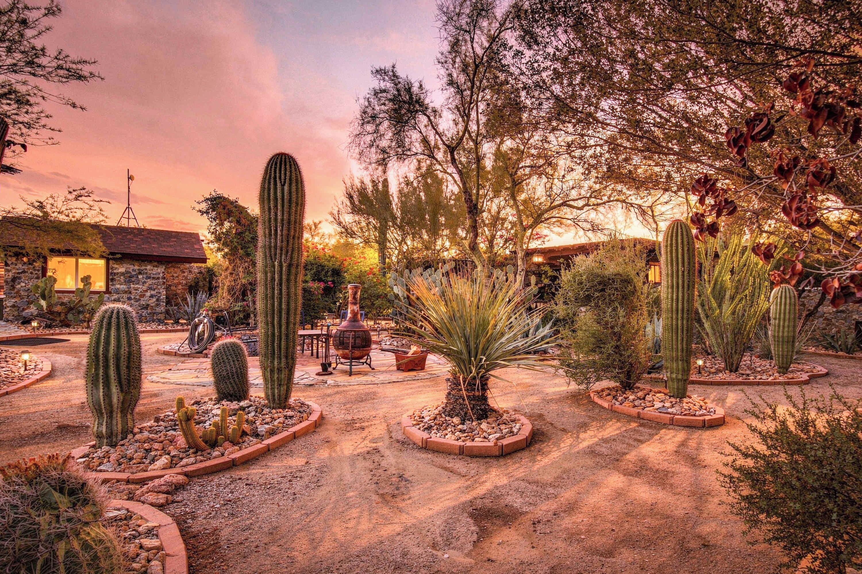 A desert garden with various cacti and succulents, a stone building, and a rustic outdoor seating area.