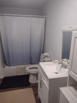 A bathroom with a bathtub, toilet, sink, and a mirror. - Private apartment in downtown Tallahassee. Private entrance. Access to backyard. (Tallahassee)