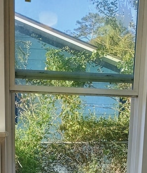 Una ventana con vista a un edificio azul y follaje verde.