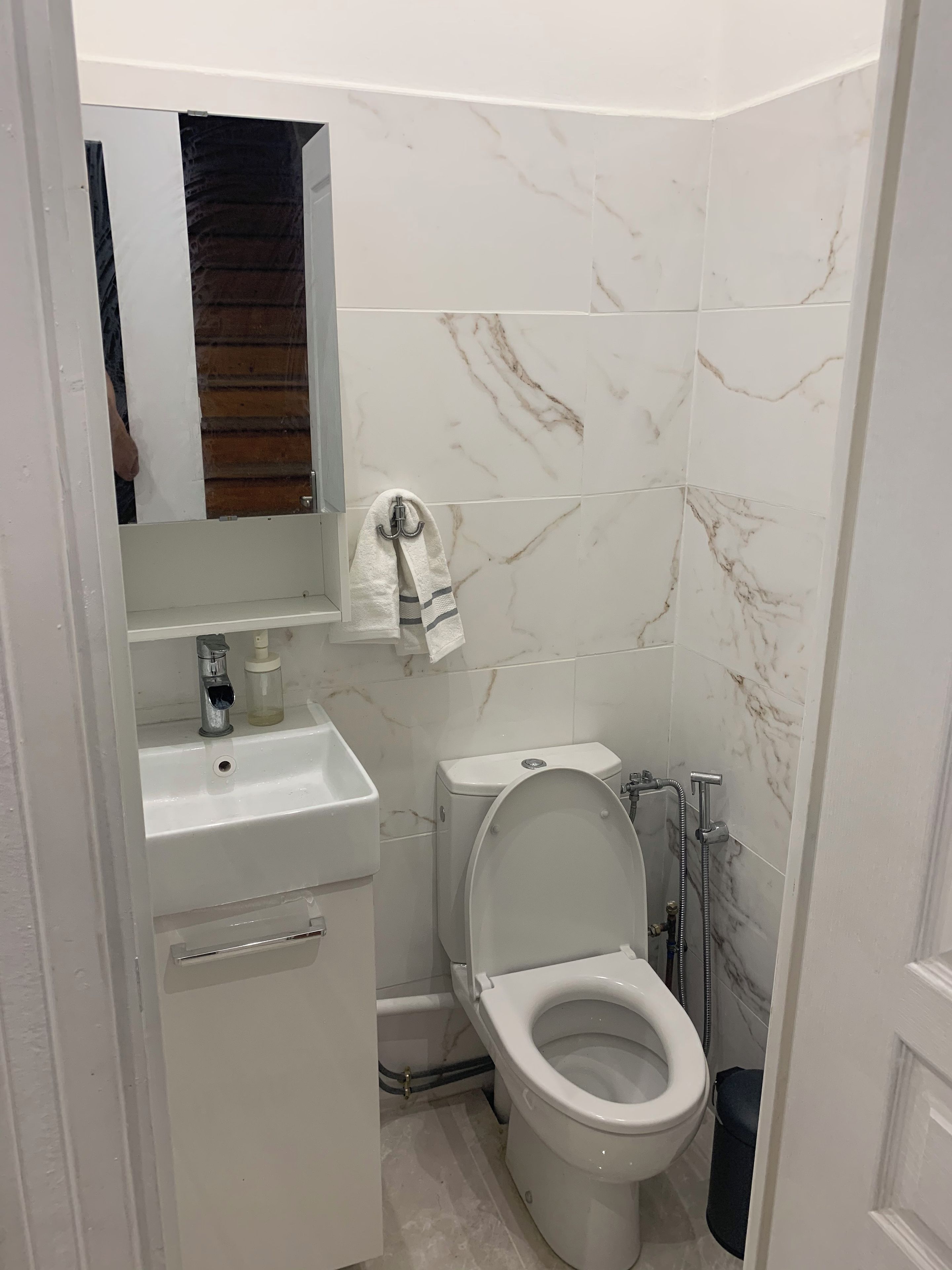 Ein Badezimmer mit Toilette, Waschbecken, Spiegel und Handtuchhalter.